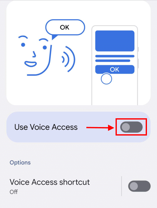 Tap the toggle switch for Use Voice Access